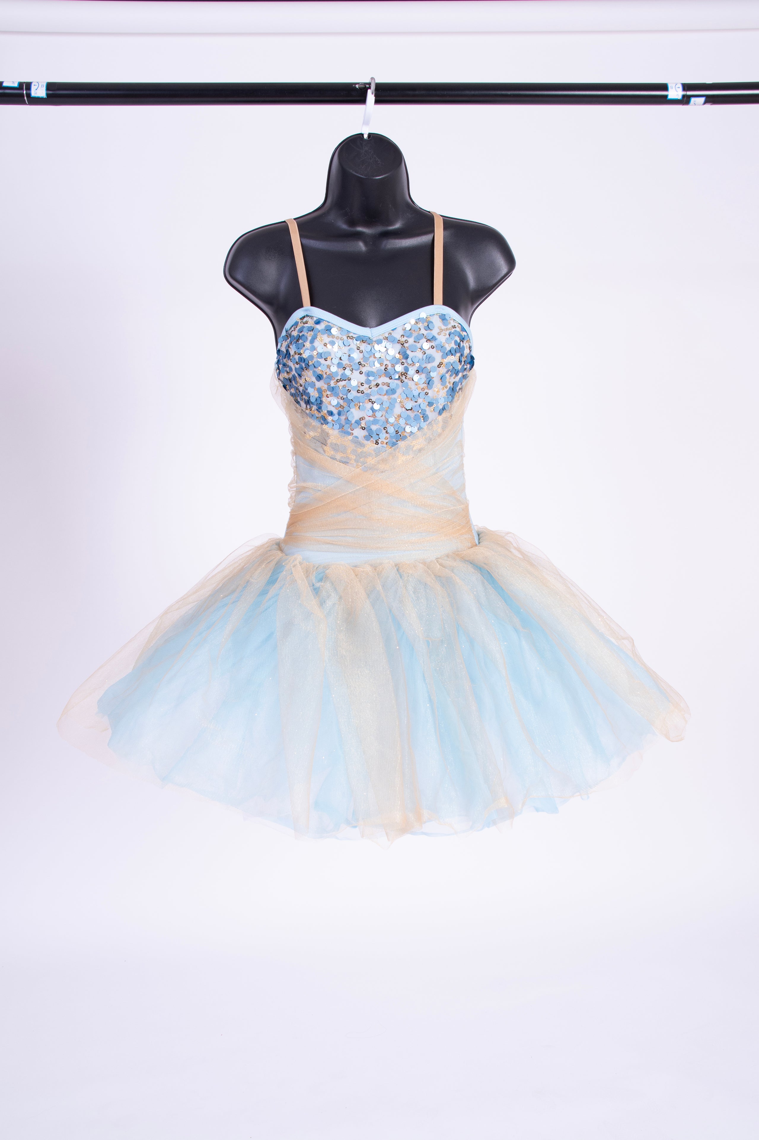 Shimmer and top shine tutu dress